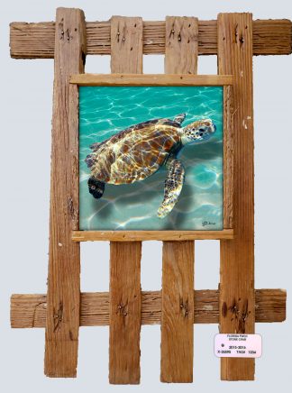 "Turtle on the Sand"