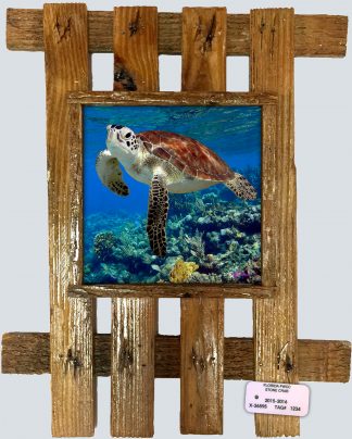 "Turtle over the Reef"
