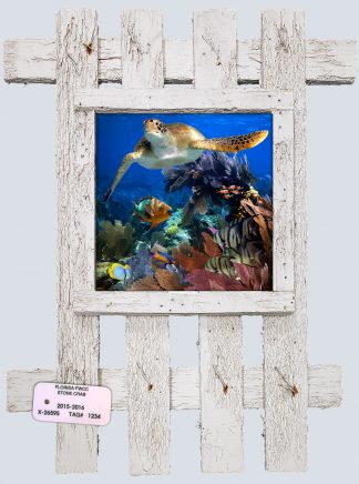 "Turtle with Spadefish"