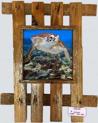 "Turtle with Stingray"