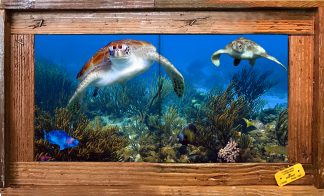 "Two Turtles with Gorgonians" Tile Mural