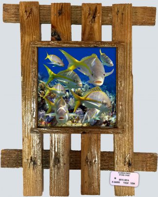 "Yellowtail School 2"
