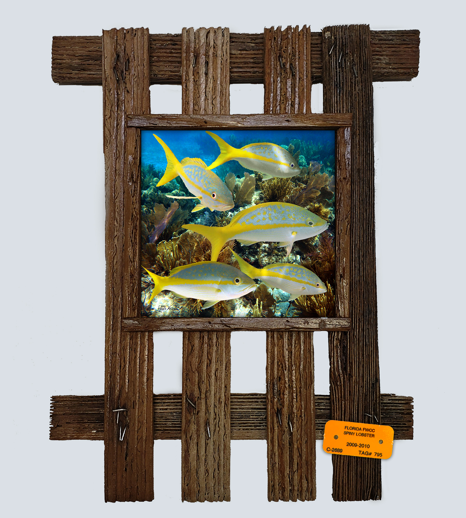"Yellowtail School"