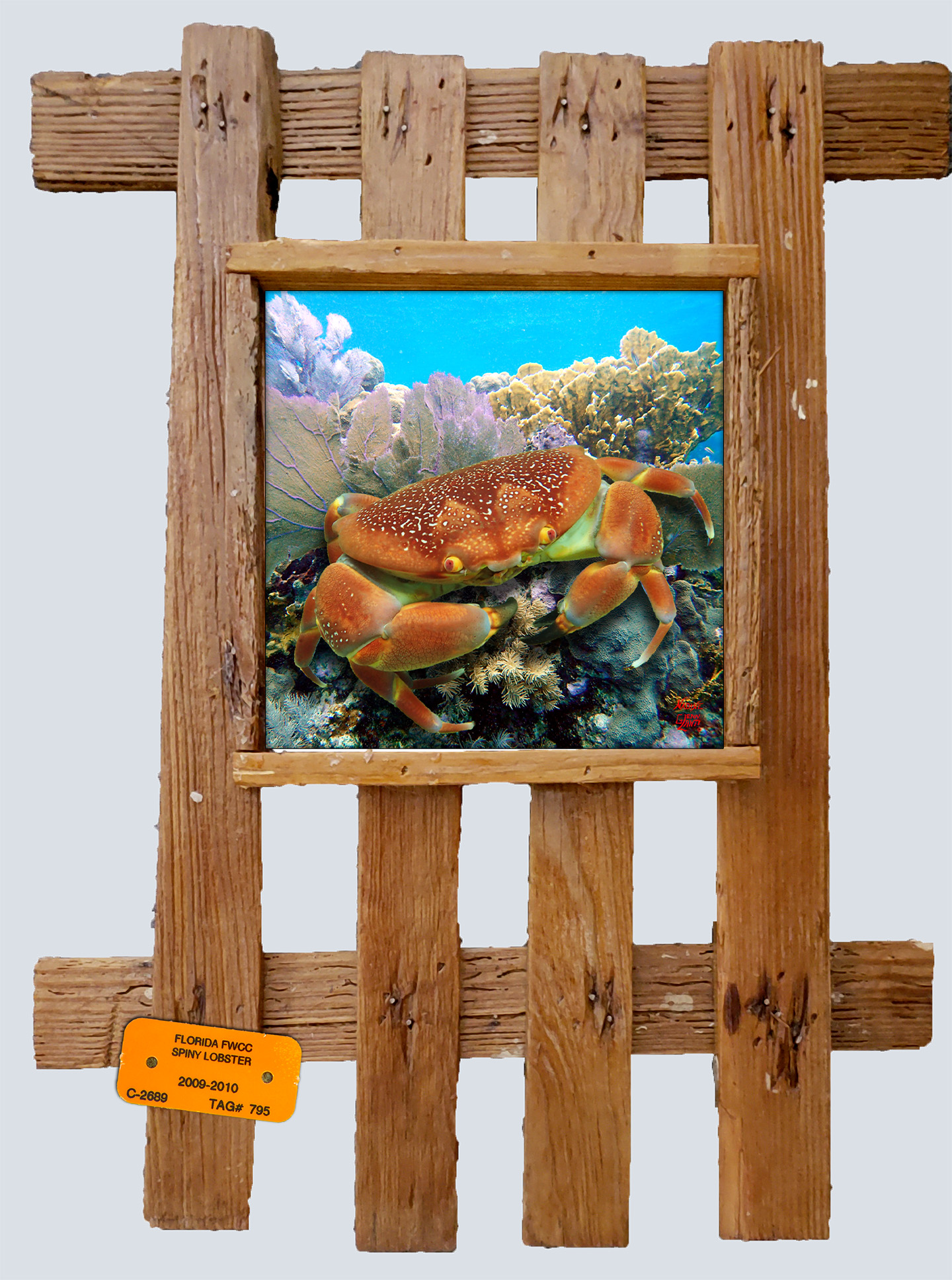 "Bat Crab on the Reef"