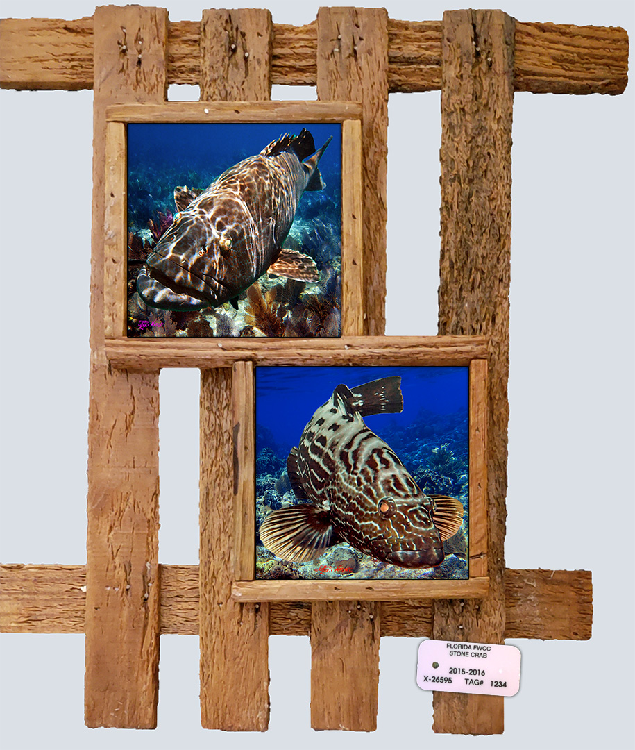 "Black Groupers"