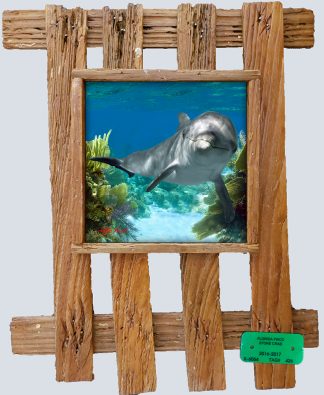 "Dolphin in the Shallows"