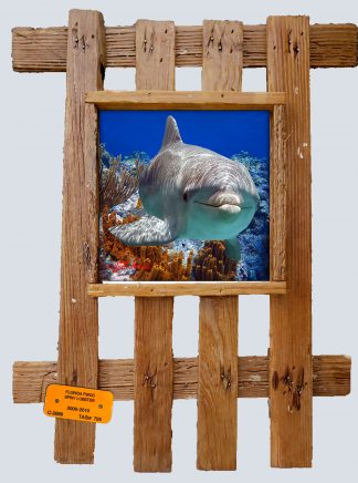"Dolphin Over Sponges"