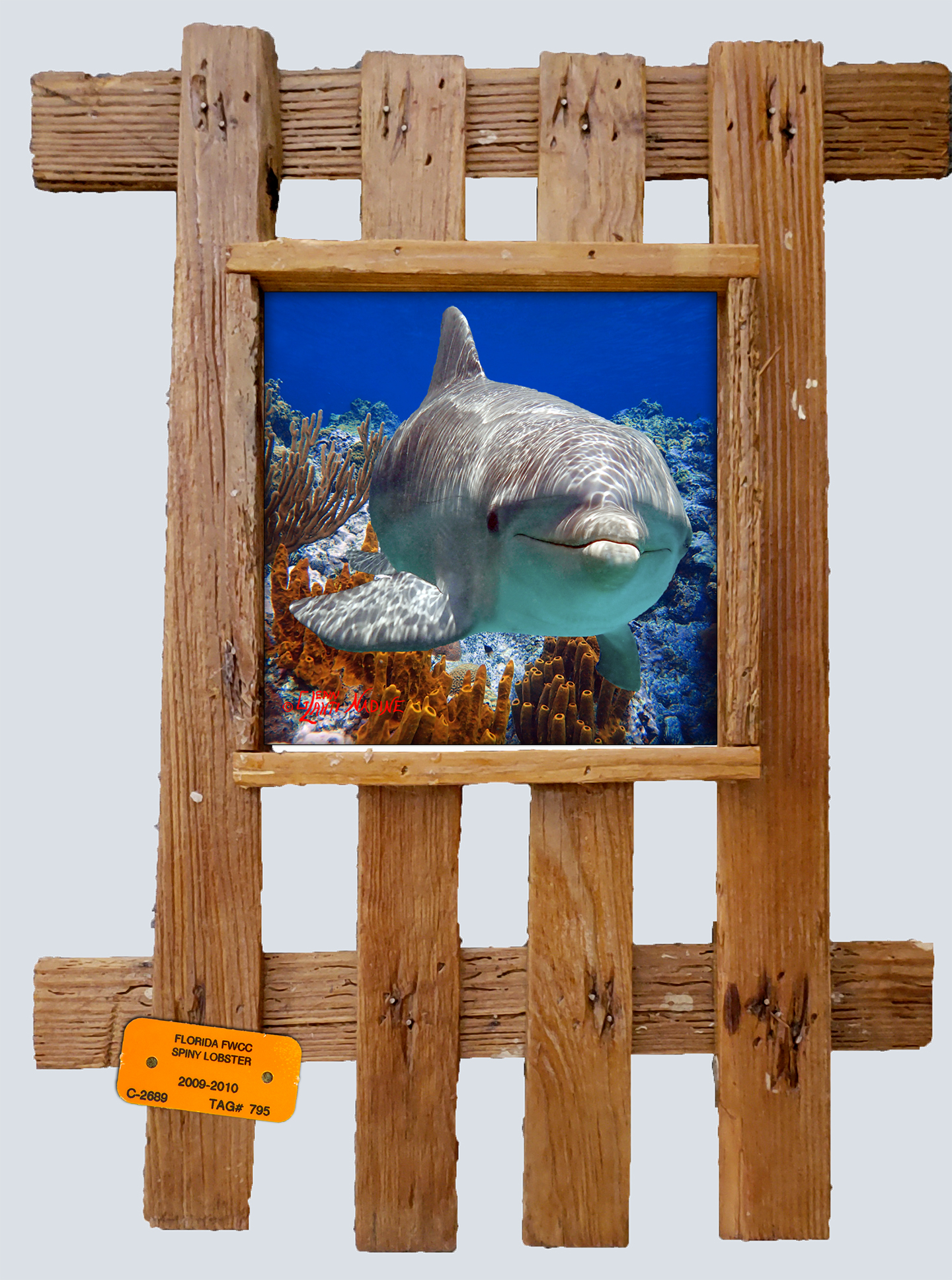 "Dolphin Over Sponges"