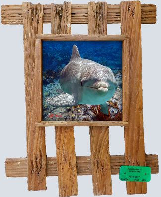 "Dolphin Over the Ledge"