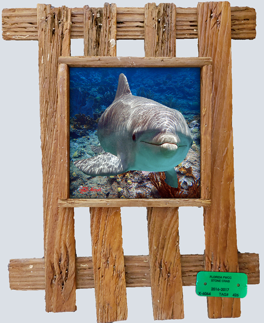 "Dolphin Over the Ledge"