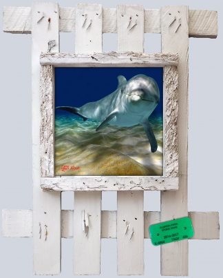 "Dolphin Over the Sand"