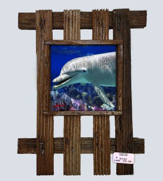 "Dolphin Smiling"