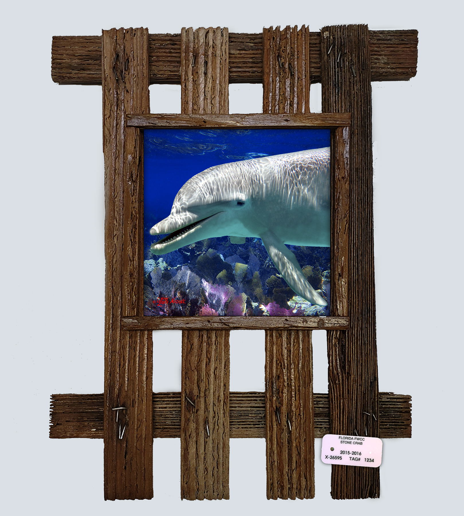 "Dolphin Smiling"