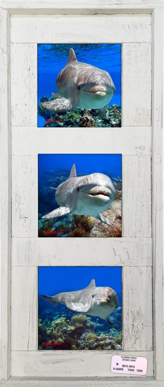 "Dolphins"  4.25" Tiles
