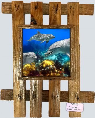"Dolphins Playing on the Reef"