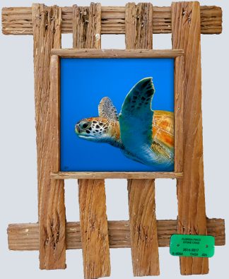 "Flippers Friend"