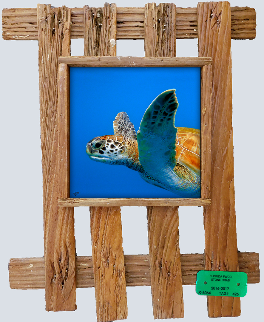 "Flippers Friend"
