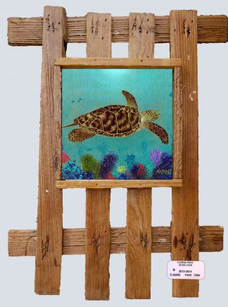 "Hawksbill Turtle on the Reef"