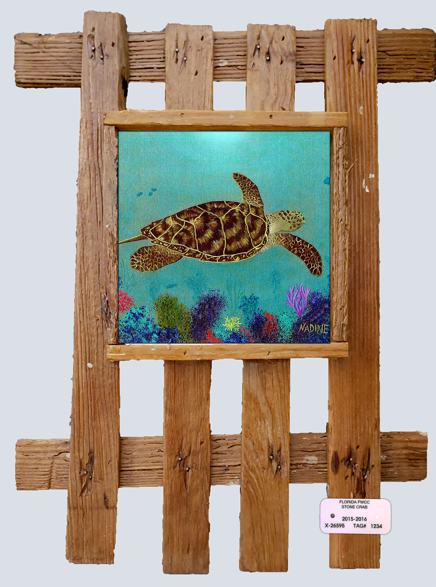 "Hawksbill Turtle on the Reef"