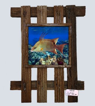 "Hog on the Reef"