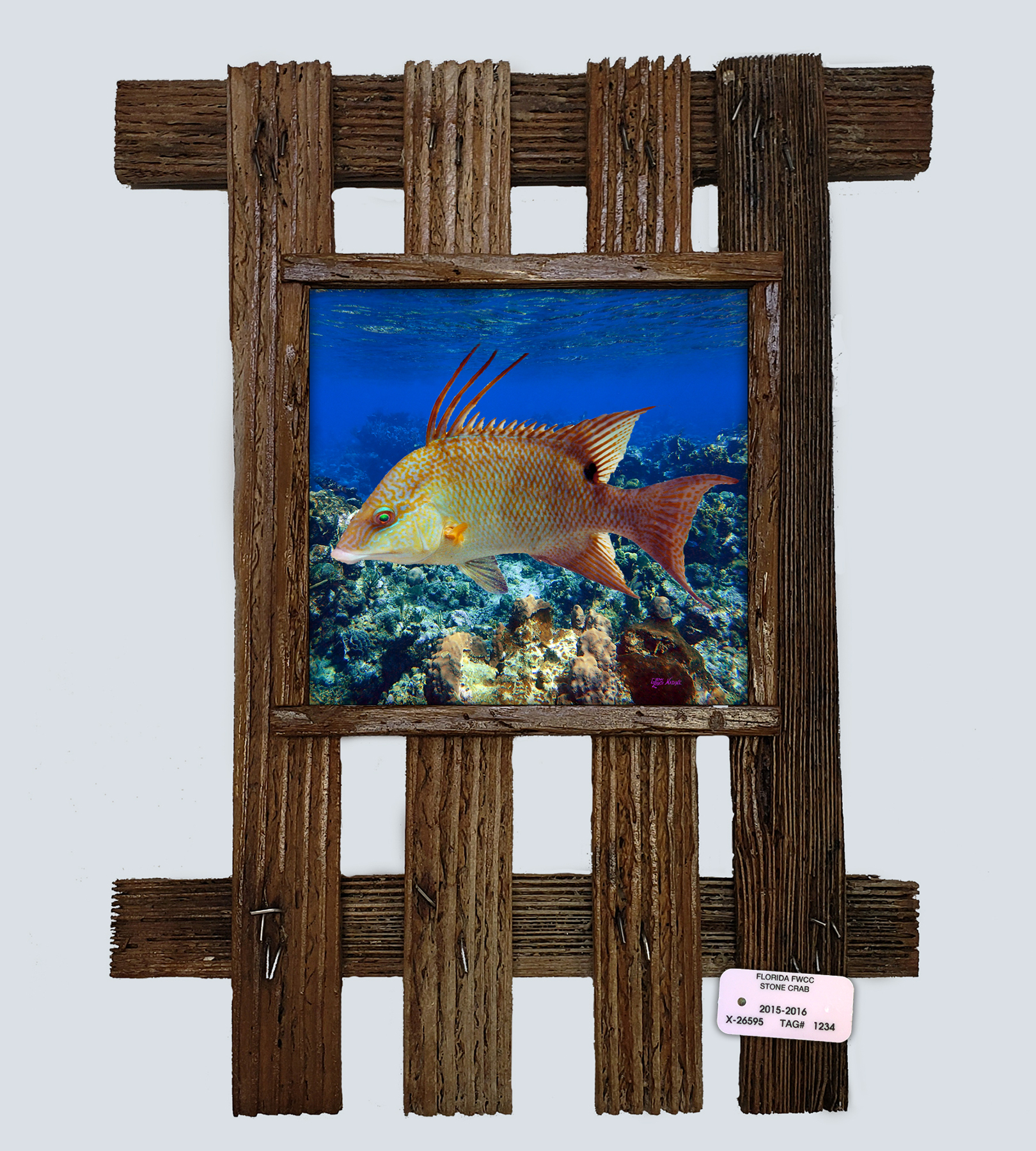 "Hog on the Reef"