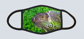 "Iguana and Leaves"