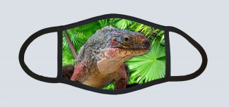 "Iguana in the Palms"
