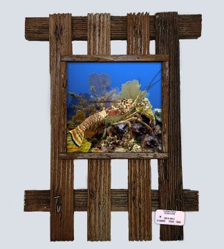 "Lobster and Reef"