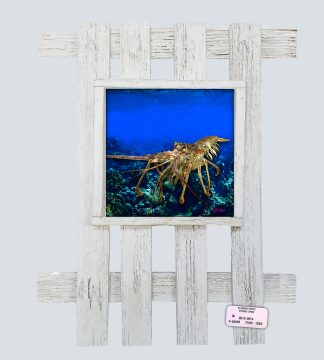 "Lobster in the Deep"