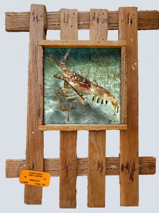"Lobster in the Grass"
