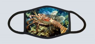 "Lobster on the Reef"