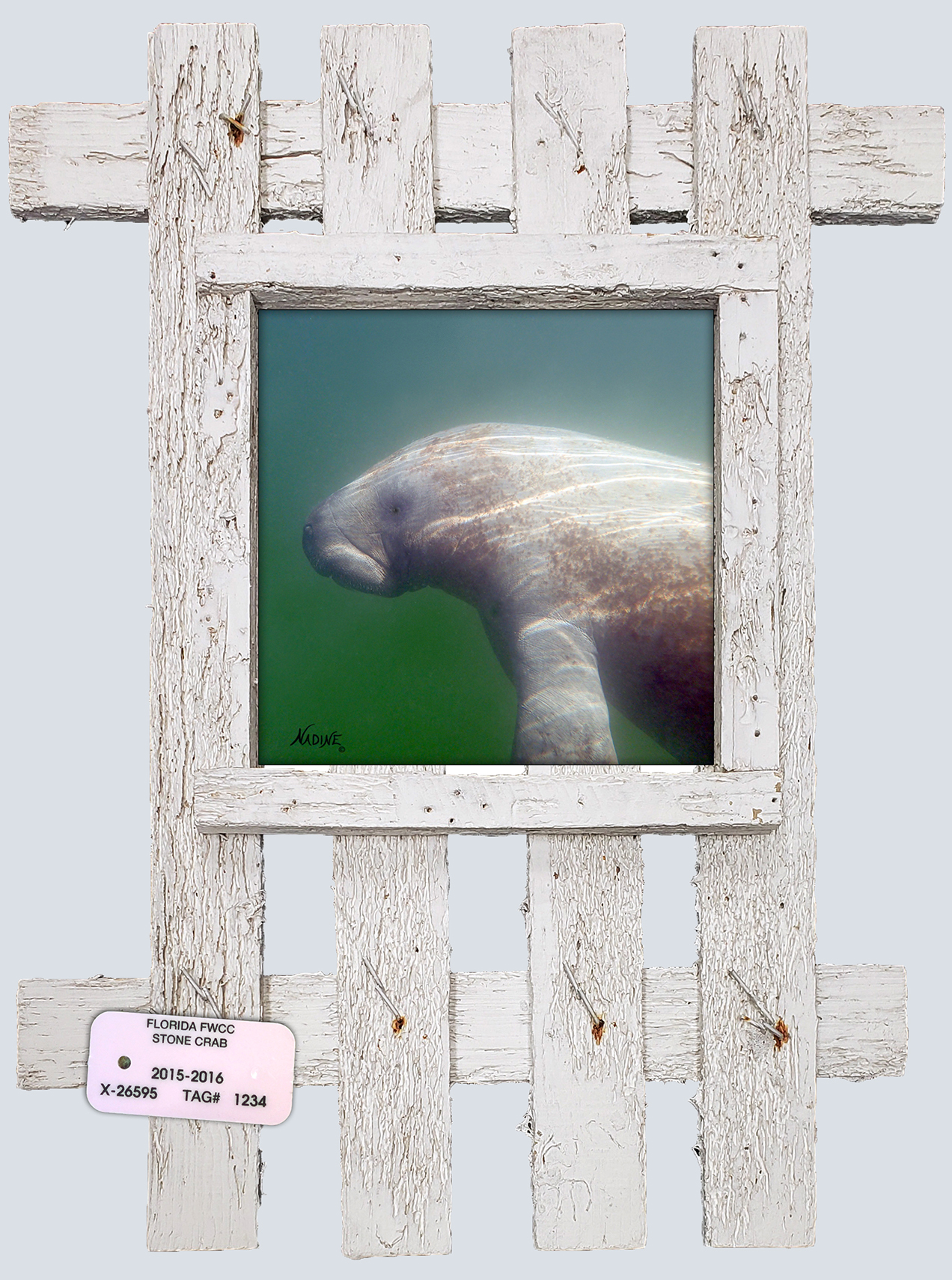 "Manatee in the Bay"