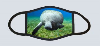 "Manatee Over the Grass"