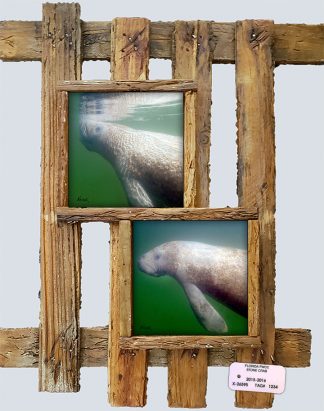 "Manatees"