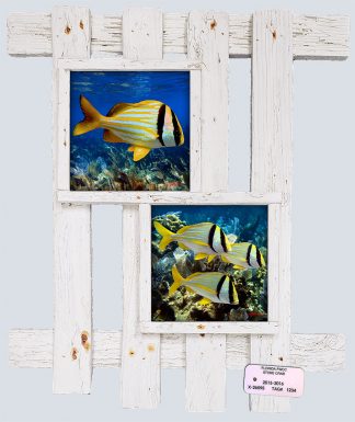 "Porkfish"