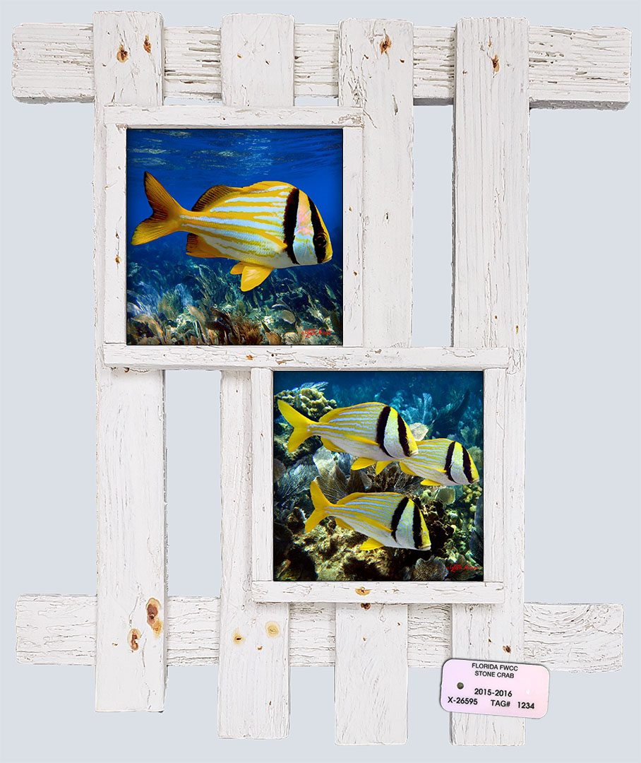 "Porkfish"
