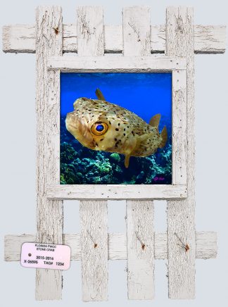 "Puffer in the Deep"