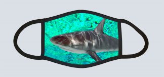 "Shark Up Close"