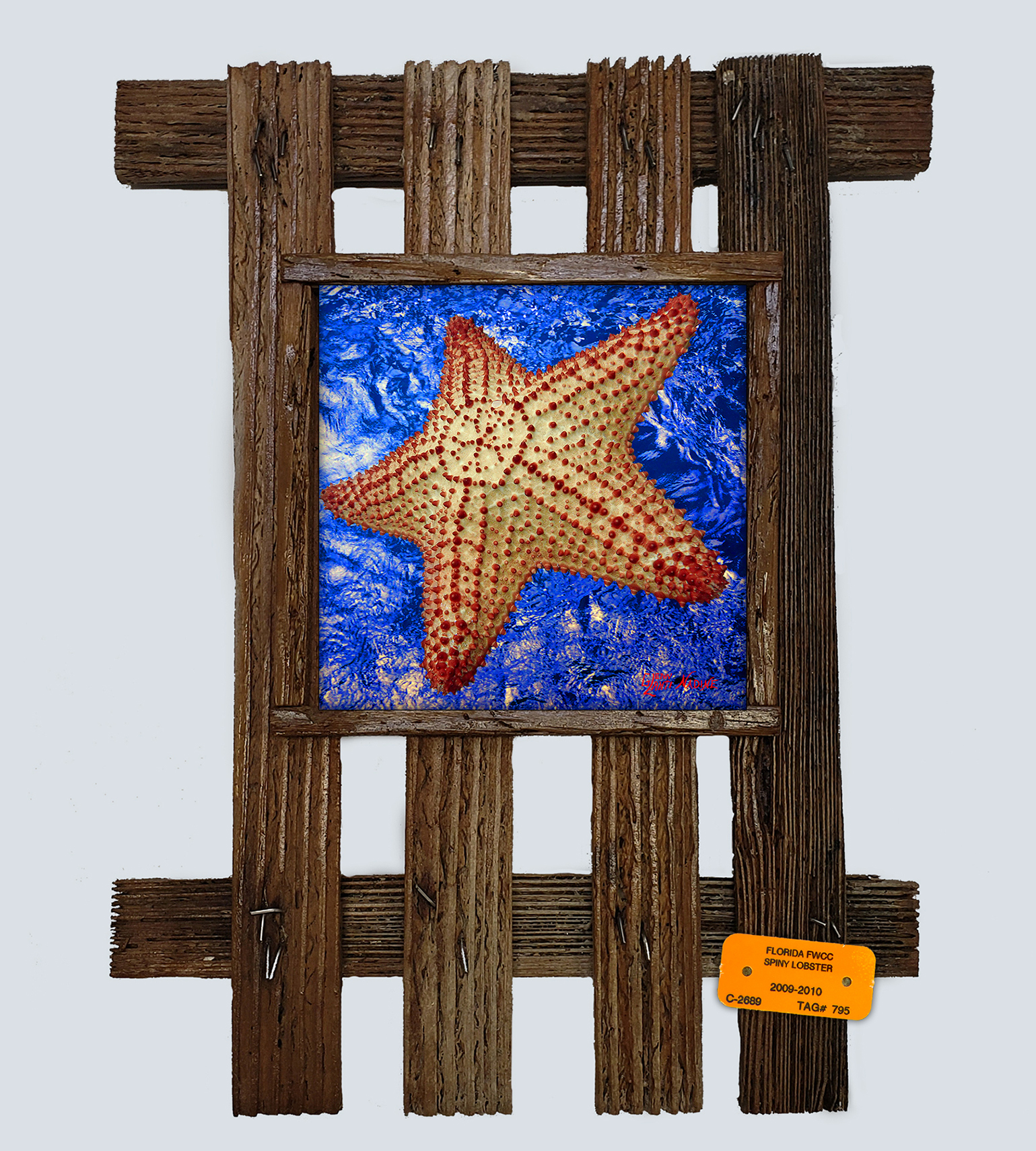 "Starfish with Blue Water"