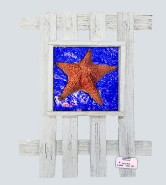 "Starfish with Dark Blue Water"