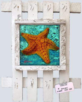 "Starfish with Green Water"