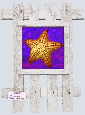 "Starfish with Purple Water"