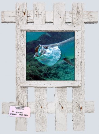 "Tarpon Head"