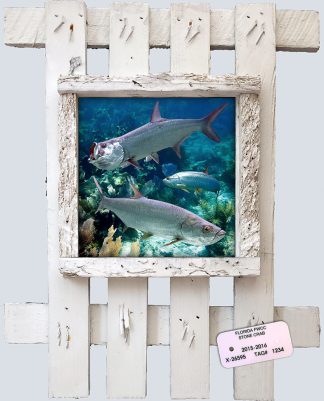 "Three Tarpon"