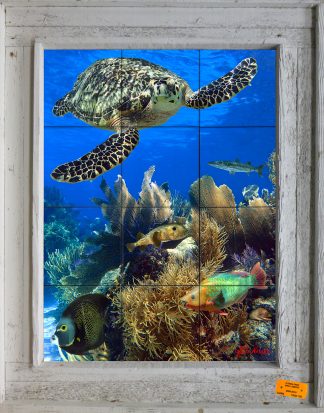 "Tropical Reef" Tile Mural