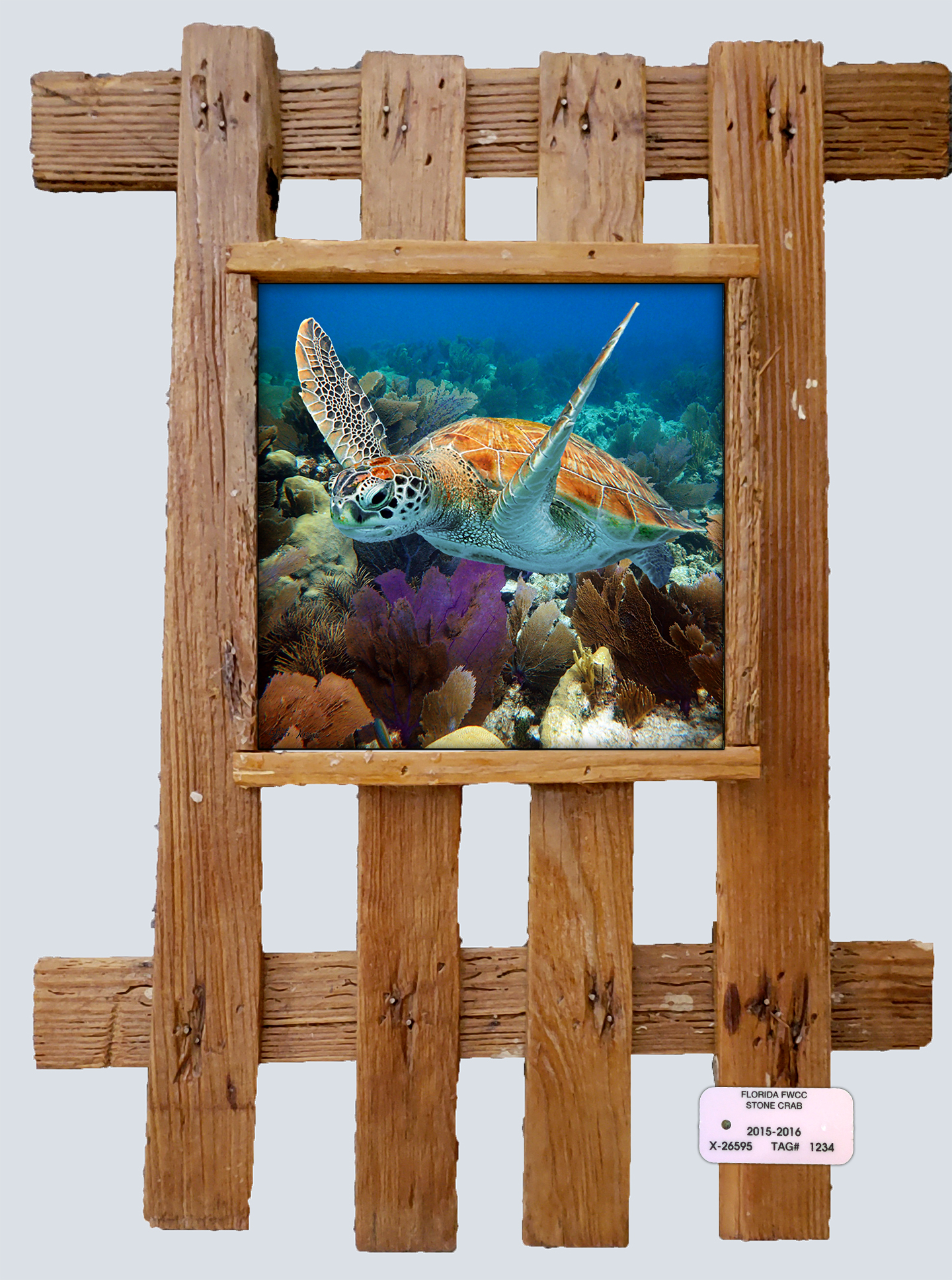 "Turtle 2"