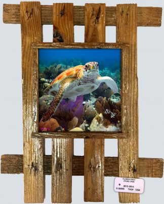 "Turtle 3"