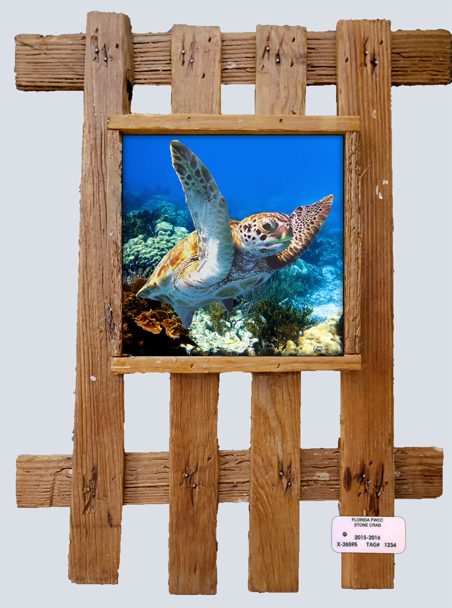 "Turtle 61"