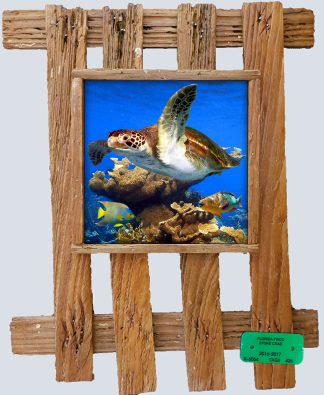 "Turtle Among the Coral"