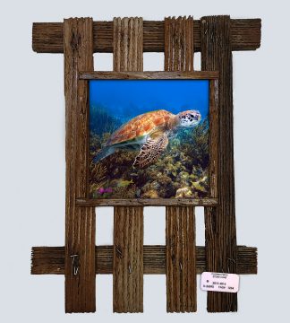 "Turtle and a School of Grunts"